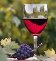 Стакан вина и гроздь винограда